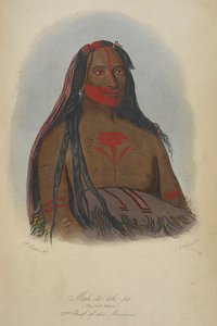 Mah-to-toh-pa (الدببة الأربعة) الرئيس الثاني لعائلة Mandans. بواسطة جورج كاتلين