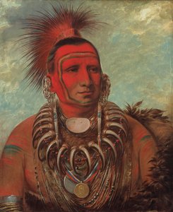 شون تا يي جا ، ليتل وولف ، محارب مشهور ، 1844-1845. بواسطة جورج كاتلين