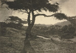 عمل الكاميرا: الذراع الطويلة