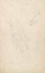 دراسة اليدين