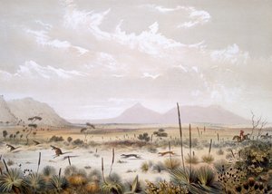 صيد الكنغر بالقرب من ميناء لينكولن ، من "جنوب أستراليا المصور" ، نُشر عام 1847 (نقش ملون باليد) بواسطة جورج فرينش انجاس