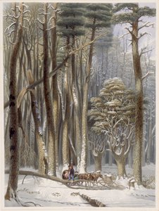 الشتاء ، إعاقة المسافرين في غابة الصنوبر ، من مناظر هارفيز للغابة البدائية في أمريكا ، 1841 (أكواينت الملونة باليد) بواسطة جورج هارفي