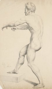 تم نسخ عارية من ذكر الطباعة الحجرية ، 1842 (الجرافيت على ورق نسج برتقالي)