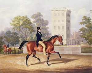 ماركيز Anglesea على ظهور الخيل في هايد بارك ، في سنته الثمانين ، محفورة بواسطة ج.هاريس ، 1847 (نقش الألوان) بواسطة جورج هنري لابورت