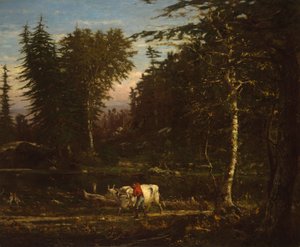 في آديرونداكس بواسطة George Inness