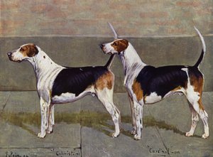 Puckeridge Foxhounds المستعمر والكاردينال بواسطة جورج بايس