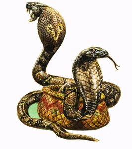 ملك الكوبرا بواسطة جورج ر. رادكليف