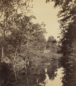 ديل، 1863 (صورة فوتوغرافية) بواسطة جورج روكوود جاردنر