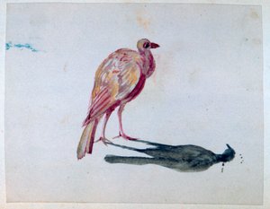 طائر ، 1820-1876 بواسطة جورج ساند