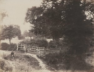 المروج الخضراء ، 1854. بواسطة جورج شادبولت