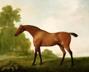 A Bay Thoroughbred in a Landscape بواسطة جورج ستابس
