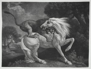 حصان هاجمه أسد ، 1788. بواسطة جورج ستابس