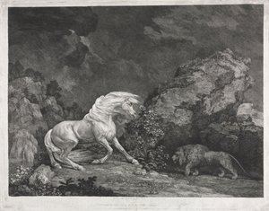 حصان خائف من أسد 1777. بواسطة جورج ستابس