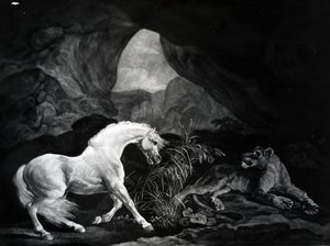 حصان أذهله لبؤة ، نقشها بنيامين غرين ، 1774