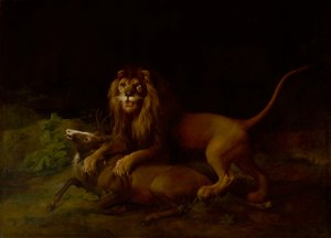 أسد يهاجم الأيل ، بين 1765 و 1766. بواسطة جورج ستابس