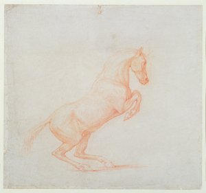 حصان يقفز ، يواجه لليمين ، 1790 (طباشير أحمر على ورق) بواسطة جورج ستابس