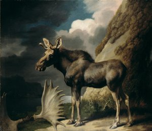 موس ، 1770 بواسطة جورج ستابس