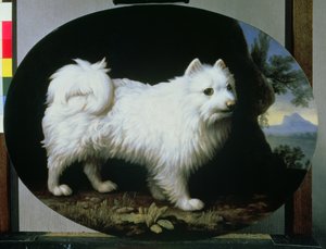 صورة السيدة لاب الفرنسية البيضاء لاب 1782 بواسطة جورج ستابس