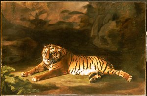صورة النمر الملكي ، 1770 ج