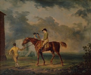 السير سالومون ، A Bay Racehorse مع J.Singleton ، نيوماركت (زيت على قماش) بواسطة جورج ستابس