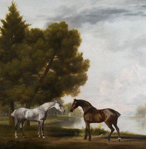 حصانان يتناغمان في منظر طبيعي ، 1765-80 (زيت على قماش) بواسطة جورج ستابس