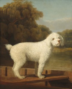 القلطي الأبيض في بونت ، ج. 1780. بواسطة جورج ستابس