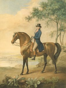 وارن هاستينغز على حصانه العربي ، 1796