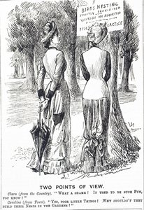 كارتون يعلق على قانون حماية الطيور لعام 1880 بواسطة جورج دو مورير