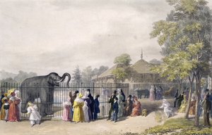 بيت الفيل في حدائق الحيوان ، ريجنت بارك ، محفور وحانة. للفنان ، طبعها تشارلز هولمانديل (1789-1850) ، 1835