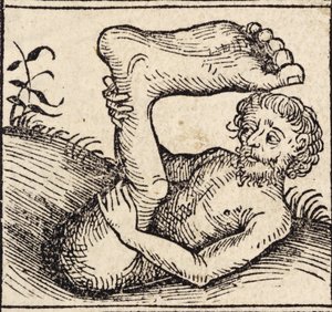 sciopod ، رجل ذو قدم منتفخة ، من `` Registrum Hujus Operis Libri Cronicarum cum Figuri et Imagibus ab Inicio Mundi 