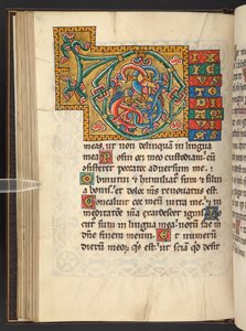 يضيف. 60629 ، f.43v أحرف استهلالية كبيرة مؤطرة باللون الذهبي والألوان مع زخرفة متورقة وأحيانًا حلية وحيوانية (رق) بواسطة المدرسة الألمانية