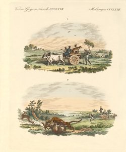 Antelopes hunting with leopards (coloured engraving) بواسطة المدرسة الألمانية