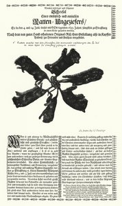 اصطياد جرذان عملاقة في ستراسبورغ عام 1683 (نقش) بواسطة المدرسة الألمانية