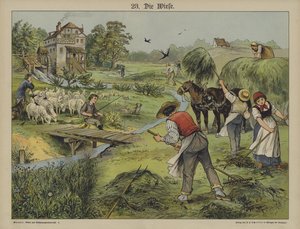 Grass (colour litho) بواسطة المدرسة الألمانية