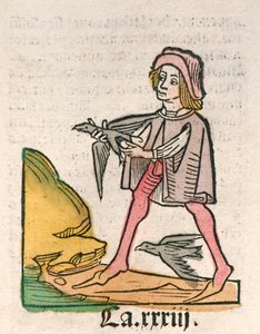 Hortus Sanitatis [حديقة الصحة] بقلم جاكوب ميدنباخ ، نُشرت عام 1491 (نقش خشبي) بواسطة المدرسة الألمانية
