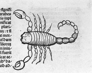 Le Scorpio - في أطروحات للملاك Magnisconnection تشير إلى سنوات من الثورات وانتشارها. اوغسبورغ ، ارهارد راتدولت بواسطة المدرسة الألمانية