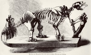 هيكل عظمي Megatherium في المتحف البريطاني بواسطة المدرسة الألمانية