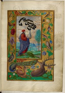 السيدة هارلي 3469 ، f.2 الفيلسوف ذو القارورة ، الرسالة الأولى ، من "روعة سوليس" بقلم سالومون تريزموسين بواسطة المدرسة الألمانية