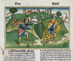 أرقام 13 23 عنب إسكول من الكتاب المقدس نورمبرغ (Biblia Sacra Germanaica) (قطع خشبية ملونة) بواسطة المدرسة الألمانية
