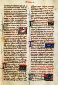 Page from De Natura Rerum on birds, by Albertus Magnus (circa 1200-1280) بواسطة المدرسة الألمانية