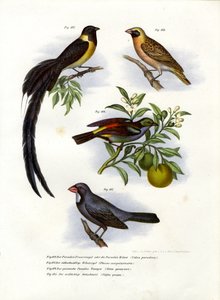 جنة وحدة ، 1864 بواسطة المدرسة الألمانية