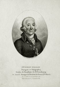 بيتر سيمون بالاس. (1741-1811) (نقش خطي) بواسطة المدرسة الألمانية