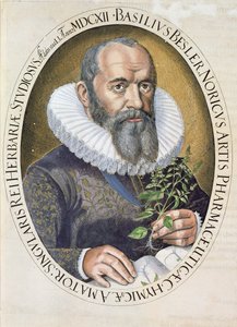 صورة لباسل بيسلر (1561-1629) عام 1612 ، من حانة أورتيس إستيتنسس. 1613 بواسطة المدرسة الألمانية