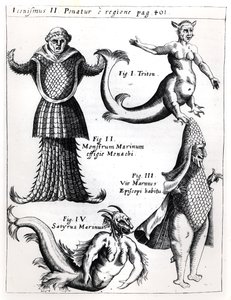 وحوش البحر ، التوضيح من Physica Curiosa بواسطة Gaspar Schott SJ (1608-66) ، تم نشر Wuerzburg 1662 بواسطة المدرسة الألمانية