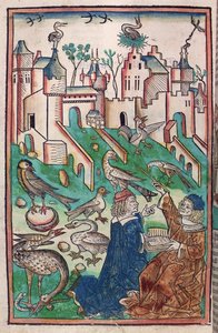 طيور ومخلوقات الهواء ، رسم توضيحي من "Hortus Sanitatis" ("حديقة الصحة") 1491 (نقش خشبي ملون) بواسطة المدرسة الألمانية