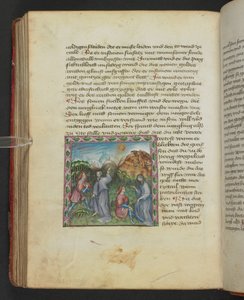 Ulrich von Pottenstein، The Book of Natural Wisdom، Egerton MS 1121 f.114v، c.1430 (الحبر واللون على الرق) بواسطة المدرسة الألمانية
