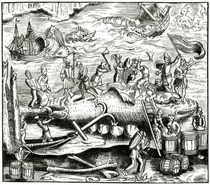 نشر صيد الحيتان ، بعد قطع خشبية في Cosmographie Universelle of Munster ، 1552 بواسطة المدرسة الألمانية