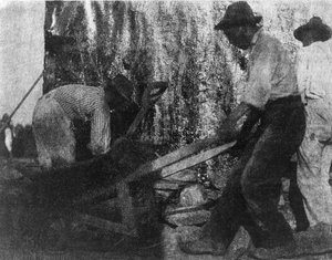 ثلاثة عمال. صورة تظهر ثلاثة عمال أمريكيين من أصل أفريقي في العمل. (حوالي 1900) بقلم جيرترود كاسبير
