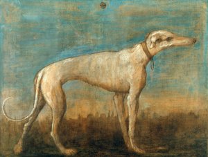 Sighthound الإيطالية ، ج. 1793. بواسطة Giambattista Tiepolo