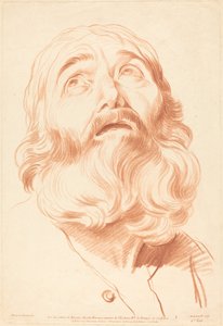 رأس رجل. بواسطة جيل ديمارتو